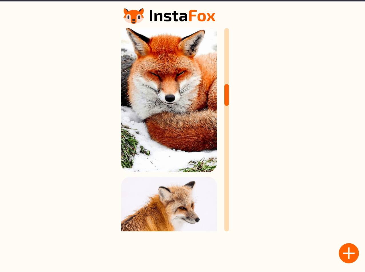 Instafox - galería de fotos de zorros